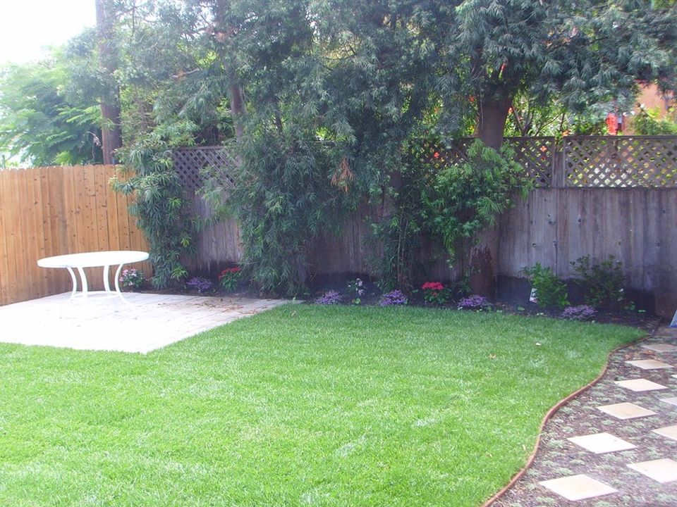 Lawn with a stepping-stone path